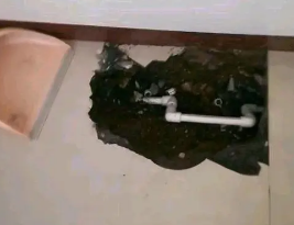 尖山卫生间测漏水多少钱